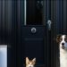 Are Smart Locks for Pet Doors Safe? 5 Checks for 2026